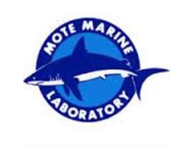 Mote Marine Laboratory: VIP Behind the Scene Tour for Six - Photo 1