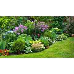 Christian Dagley Landscape