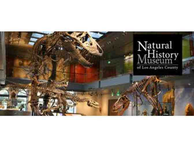 (4) Four Guest Passes to Page Museum or Natural History Museum of Los Angeles County