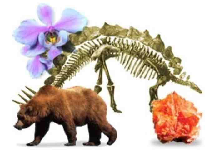 Carnegie Museums of Art and Natural History