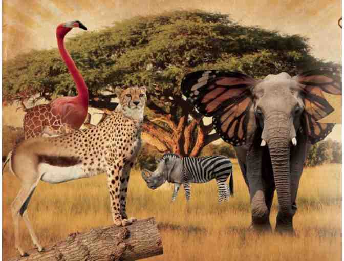 Admission for 6 People to Pittsburgh Zoo & PPG Aquarium