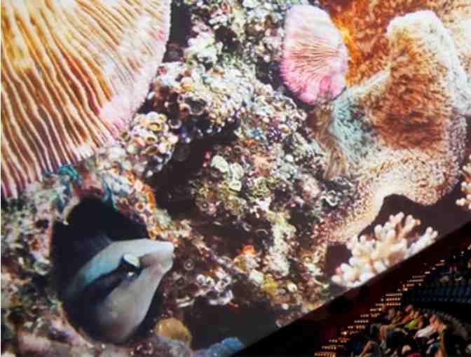 Carnegie Science Center