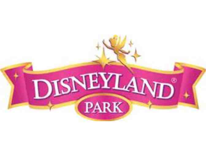 Disneyland Amusement Park - Photo 1