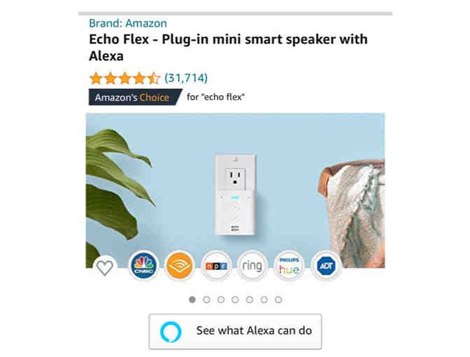 Echo Flex with NiteBird Smart Light Bulb and TanTan Smart Plug