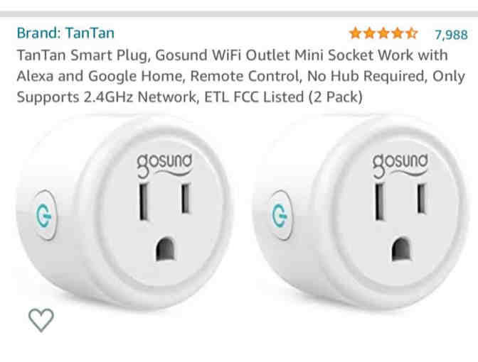 Echo Flex with NiteBird Smart Light Bulb and TanTan Smart Plug