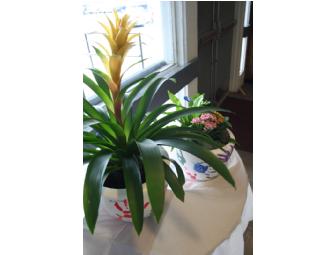 Mrs. Bowling's Class Gift