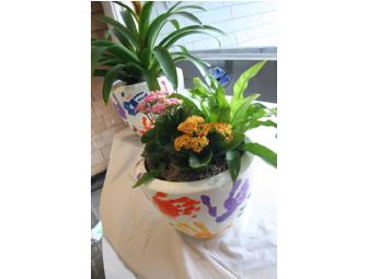 Mrs. Bowling's Class Gift