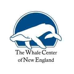 The Whale Center of New England