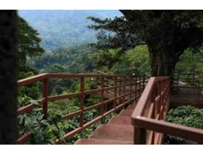 Panama Getaway- Los Establos Boutique Inn- 5 Nights Accommodations (up to 3 rooms)