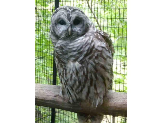 Trail Passes for the Squam Lakes Natural Science Center