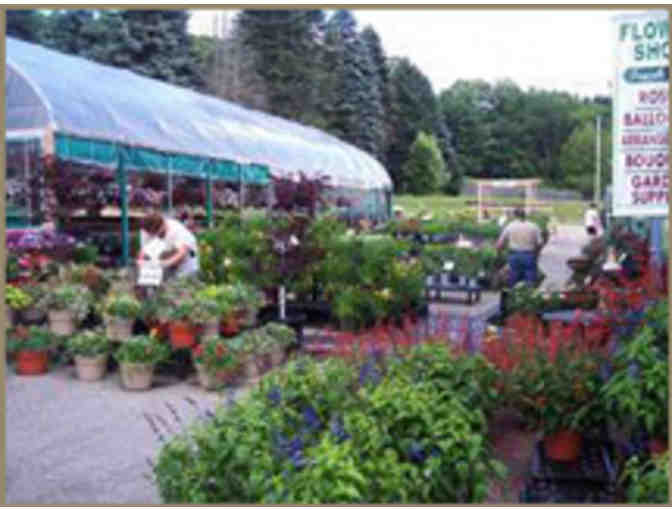 Laschi's Garden Center