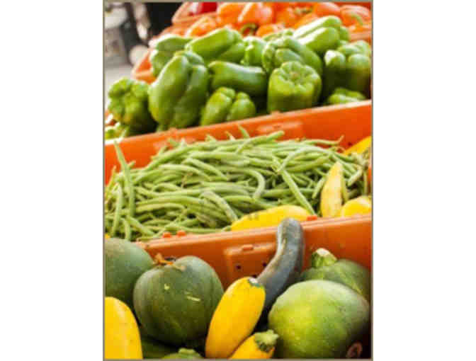 Laschi's Garden Center