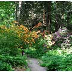 New England Wild Flower Society