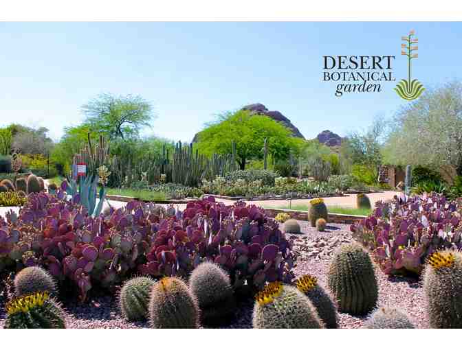 Desert Botanical Garden Admission package #2