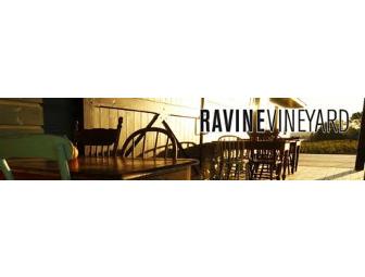 Niagara Falls All Encompassing Visit