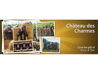 Niagara Falls All Encompassing Visit