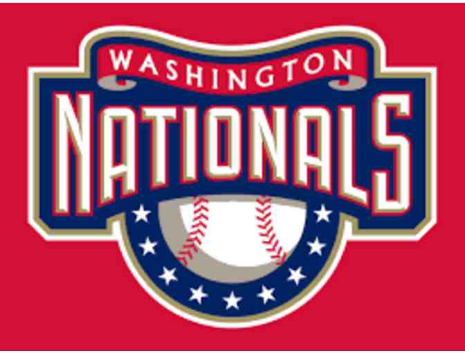 Day at the Park with the Washington Nationals
