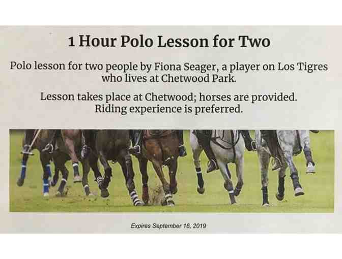 1 Hour Polo Lesson for Two People - Photo 1