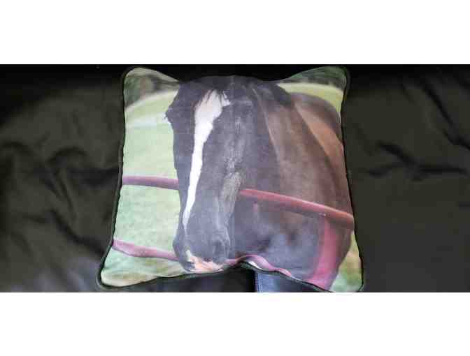 Booker with Green Pastures Throw Pillow - Photo 1
