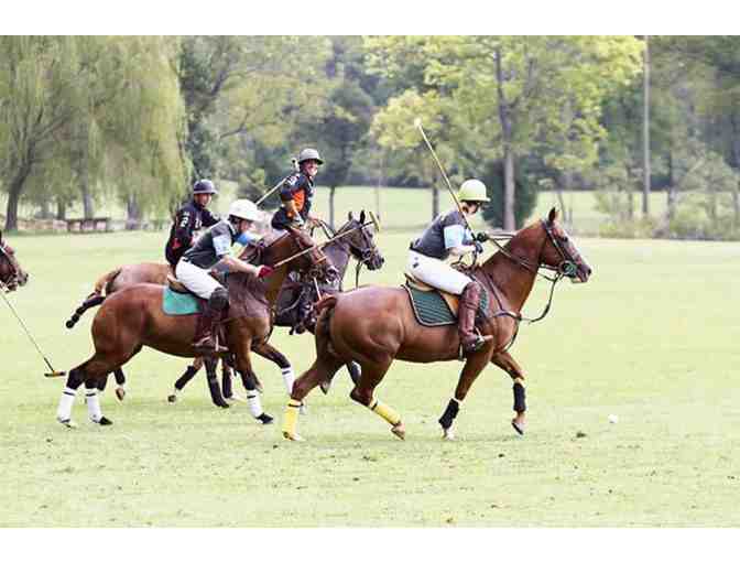 Polo Outing for Six with Chetwood Polo Club - Photo 1