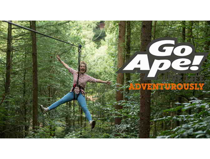 2 adult passes to the treetop adventure course at Go Ape - Photo 1