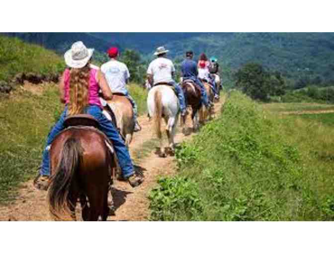 Two 1 hour trail rides at Graves' Mountain Lodge - Photo 1