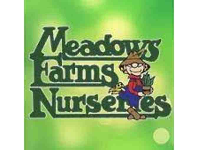 $20 to Meadows Farms Nurseries - Photo 1