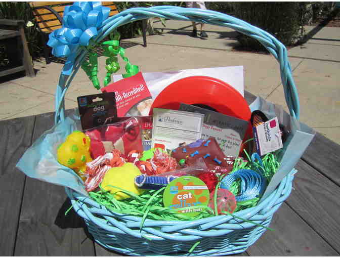 Parkview Veterinary Gift Basket and Spa Day