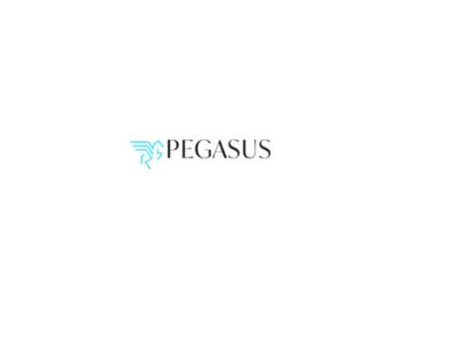 Pegasus Limo Package