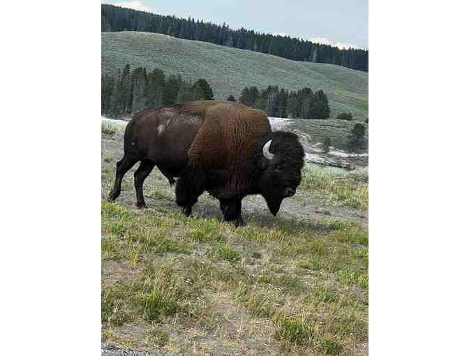 5 Night Stay in Spectacular Teton Cabin