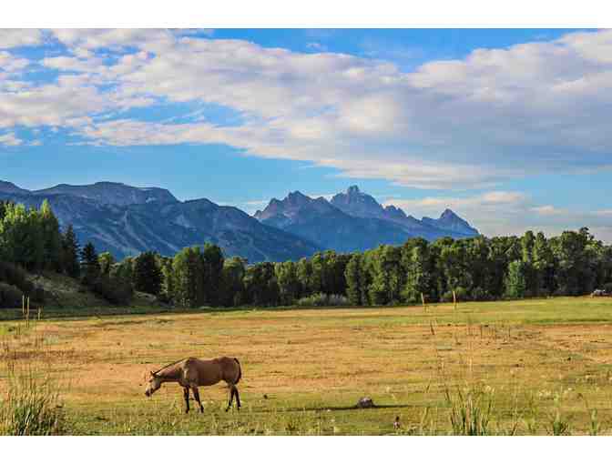 5 Night Stay in Spectacular Teton Cabin
