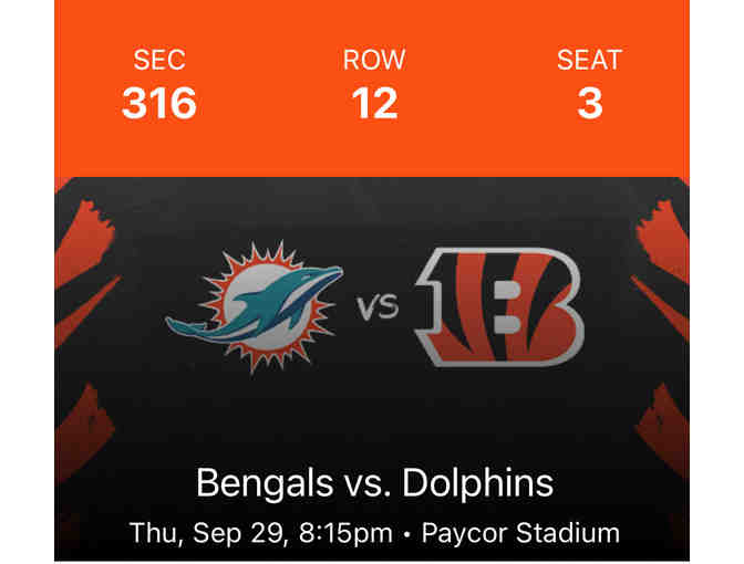 Cincinnati Bengals Home Game