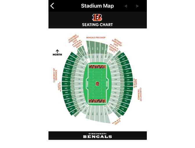 Cincinnati Bengals Home Game