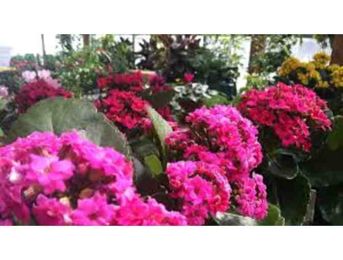 $100 Gift Card - Skillins Greenhouses - 3 Locations... Falmouth, Brunswick and Cumberland