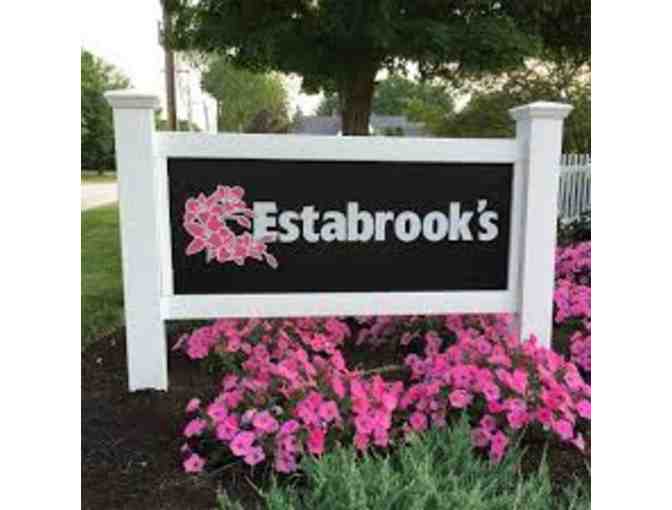 $50 Gift Card to Estabrooks Garden Center - Locations in Yarmouth and Kennebunk