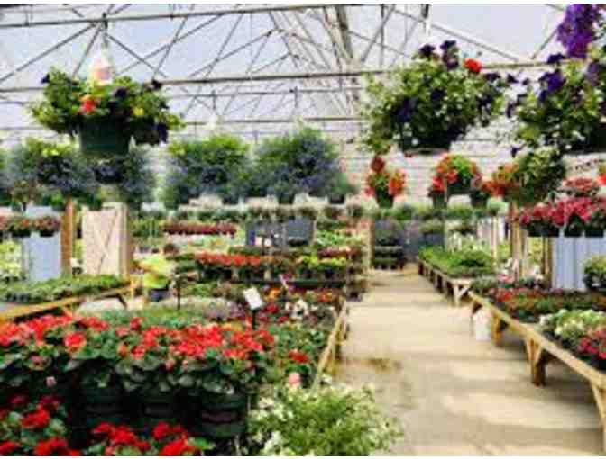 $50 Gift Card to Estabrooks Garden Center - Locations in Yarmouth and Kennebunk