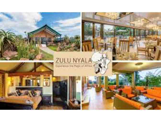 Zulu Nyala South Africa Photo Safari - Six Days and Six Nights for Two People!