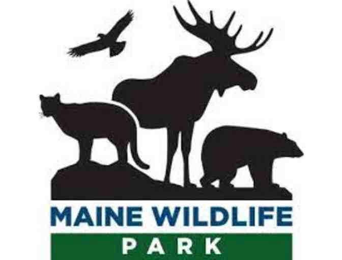 Package #1 - One Day Pass to Maine Wildlife Park in Gray, ME