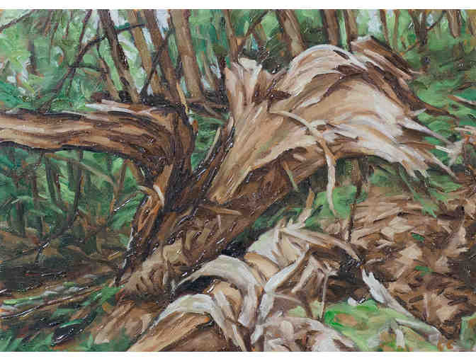 "Woodland Swirl" - Oil on wood, cradled frame by Artist Gordon Carlisle - Photo 1