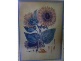 'Cultivated Flowers' Framed Art set