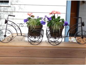 Tricycle planters