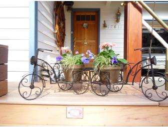Tricycle planters