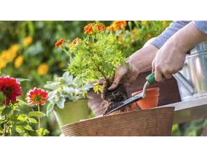 Expert Gardening Assistance / Ayuda Experta en Jardineria