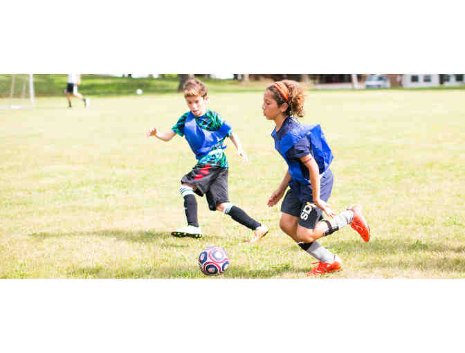 Pocono Springs Camp - 5 weeks buy it now $4,500