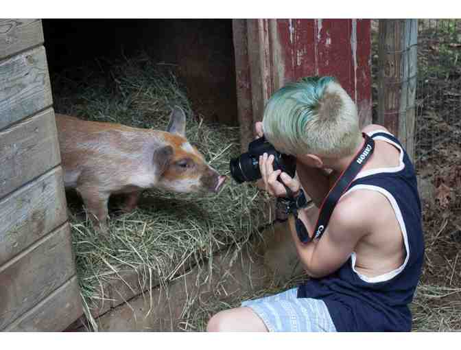 Buck's Rock Performing & Creative Arts Camp - $4,500 Gift Certificate