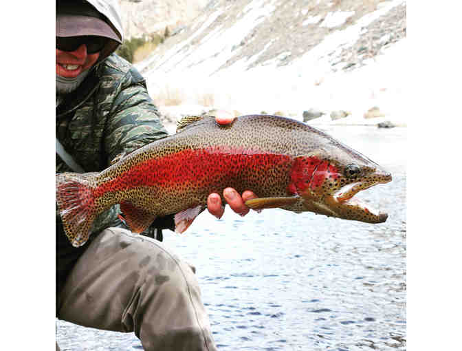 Guided Fly Fishing for 3 people Full Day