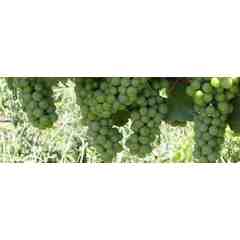 Stone House Vineyard