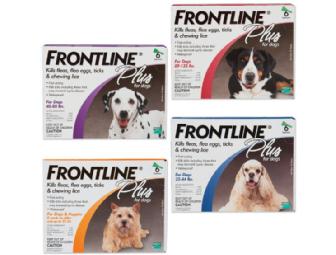 FRONTLINE PLUS FLEA/TICK PREVENTATIVE FOR DOGS (6-PACK)