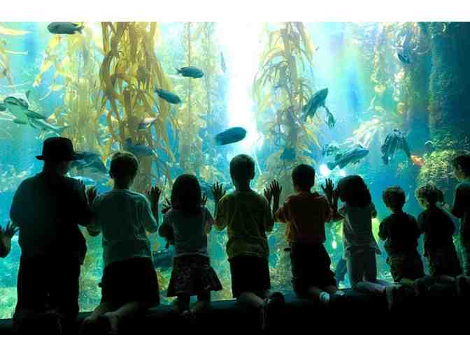 4 Passes for Birch Aquarium