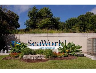 It's your chance to ' Remember the Alamo'